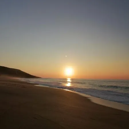 公寓 Nazondas Ap 纳扎雷